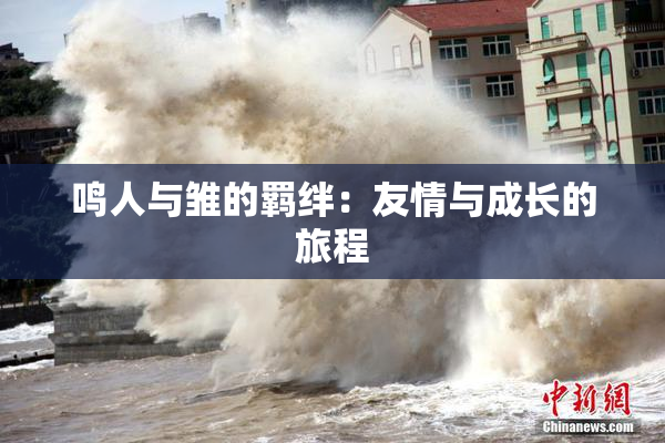 鸣人与雏的羁绊：友情与成长的旅程
