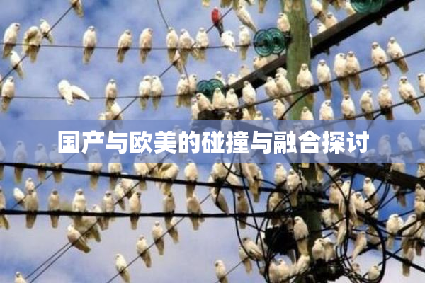 国产与欧美的碰撞与融合探讨