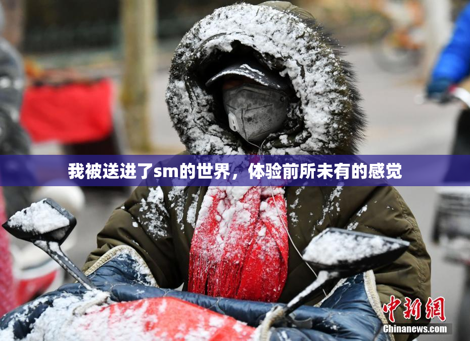 我被送进了sm的世界，体验前所未有的感觉