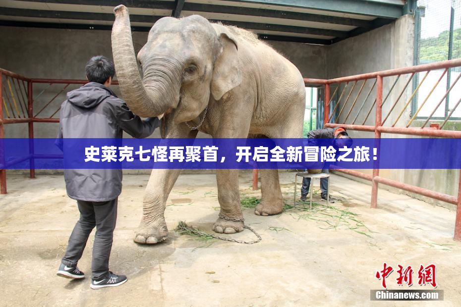 史莱克七怪再聚首，开启全新冒险之旅！