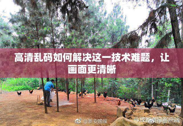 高清乱码如何解决这一技术难题，让画面更清晰