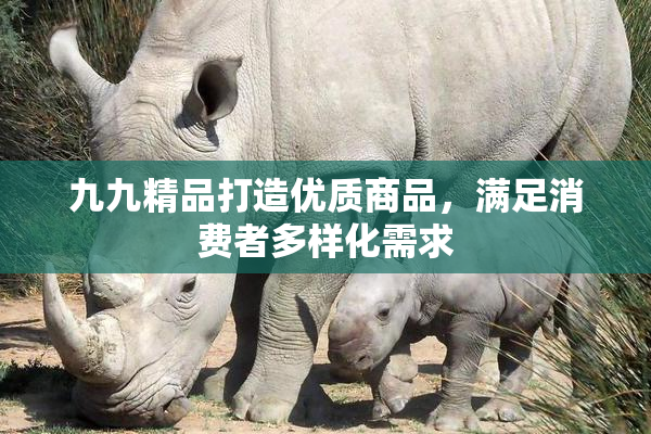 九九精品打造优质商品，满足消费者多样化需求