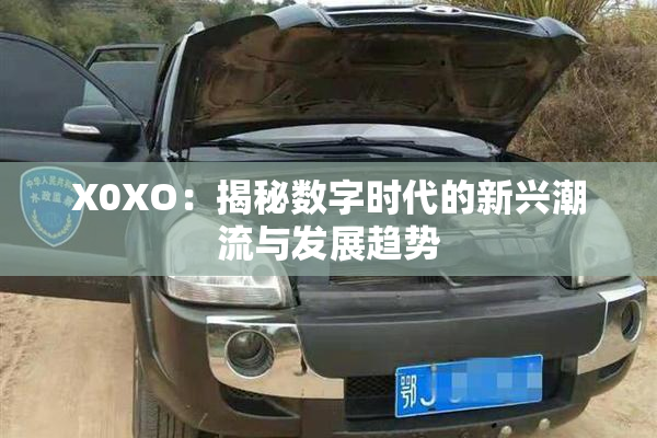 X0XO：揭秘数字时代的新兴潮流与发展趋势