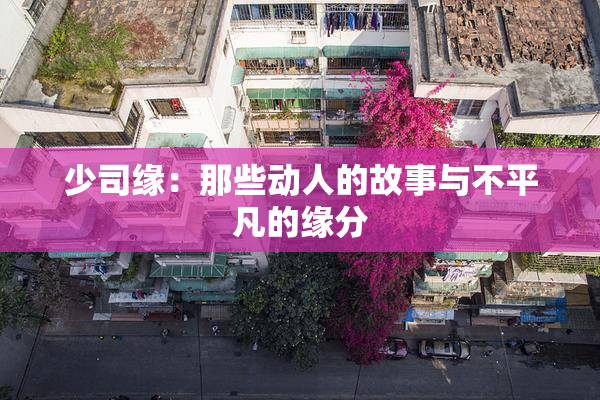 少司缘：那些动人的故事与不平凡的缘分