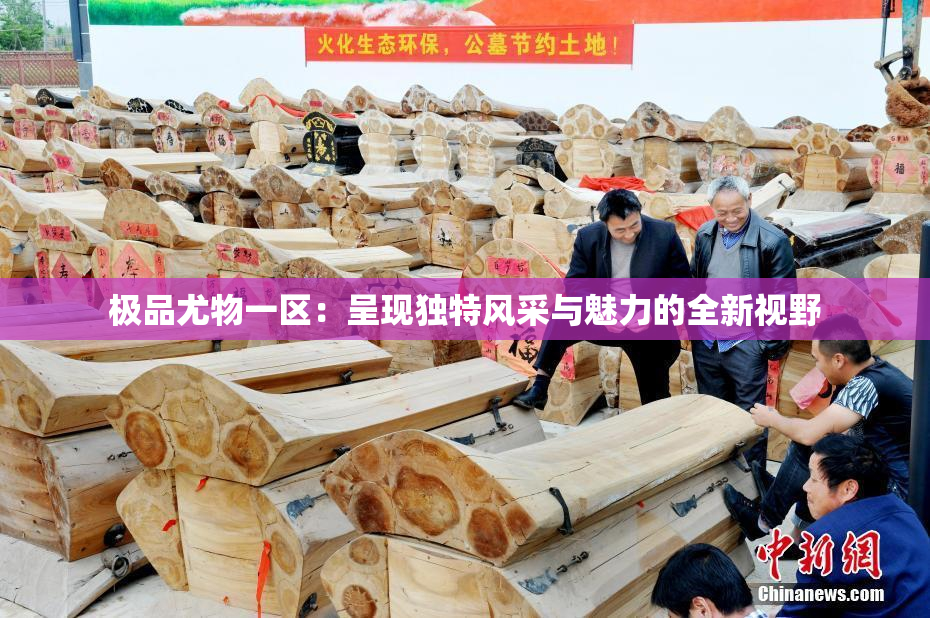 极品尤物一区：呈现独特风采与魅力的全新视野