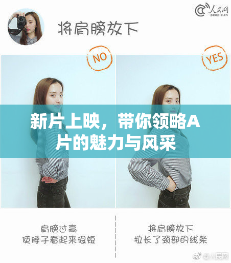 新片上映，带你领略A片的魅力与风采