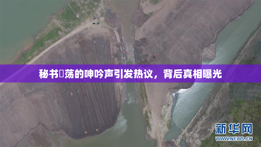 秘书婬荡的呻吟声引发热议，背后真相曝光
