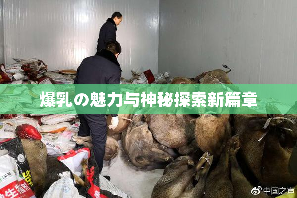 爆乳の魅力与神秘探索新篇章