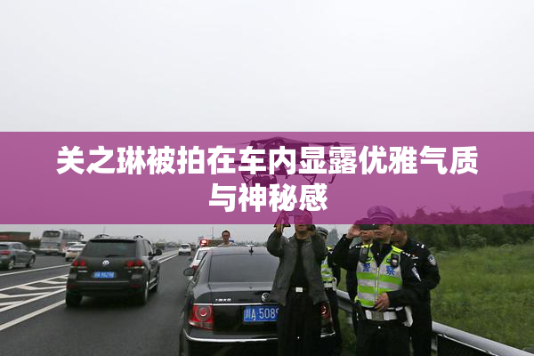 关之琳被拍在车内显露优雅气质与神秘感