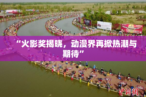 “火影奖揭晓，动漫界再掀热潮与期待”