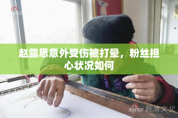 赵露思意外受伤被打晕，粉丝担心状况如何