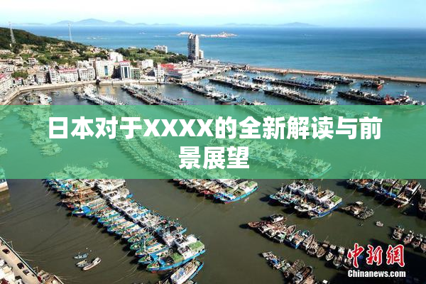 日本对于XXXX的全新解读与前景展望