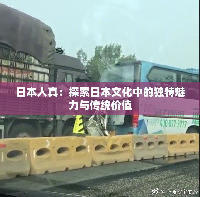 日本人真：探索日本文化中的独特魅力与传统价值