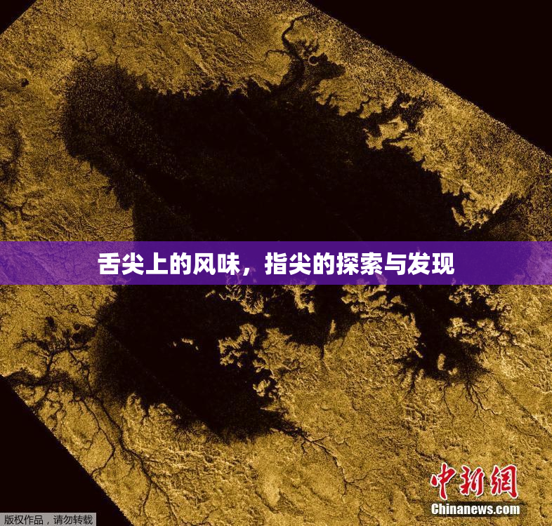舌尖上的风味，指尖的探索与发现