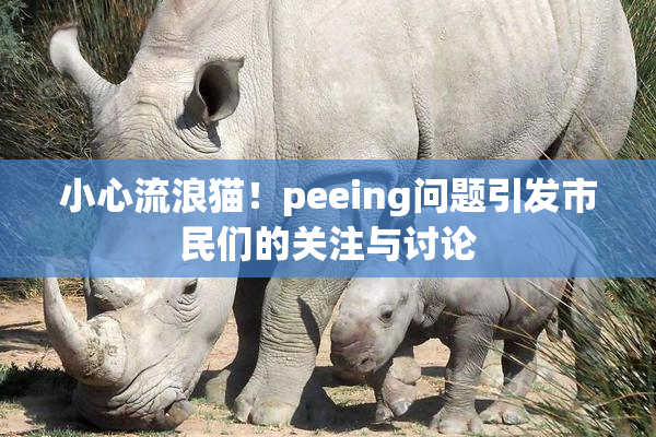 小心流浪猫！peeing问题引发市民们的关注与讨论