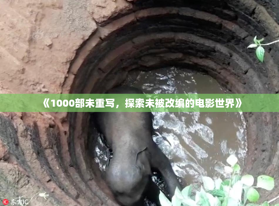 《1000部未重写，探索未被改编的电影世界》