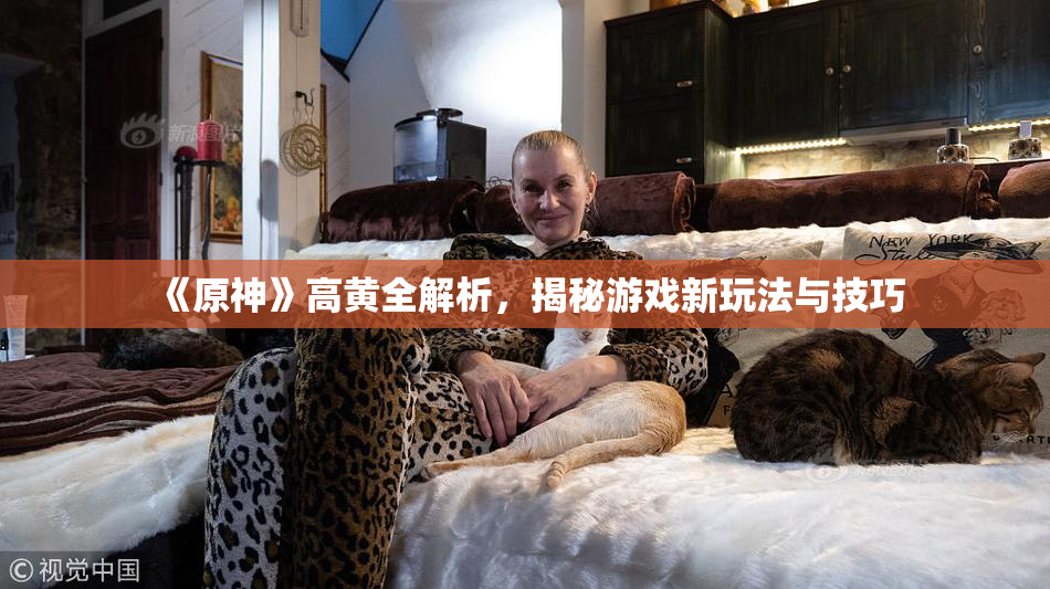 《原神》高黄全解析，揭秘游戏新玩法与技巧