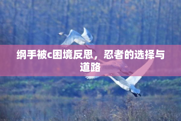 纲手被c困境反思，忍者的选择与道路