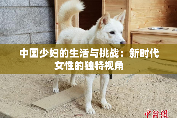 中国少妇的生活与挑战：新时代女性的独特视角