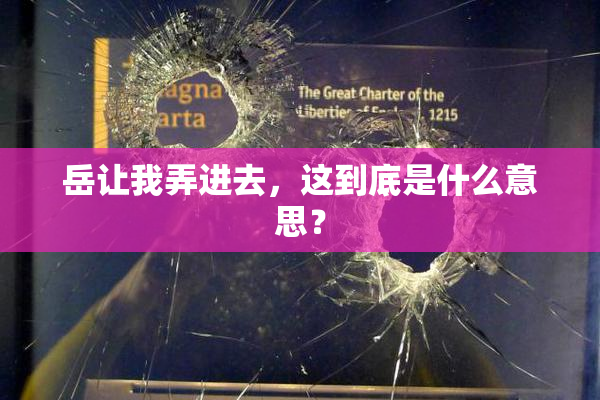 岳让我弄进去，这到底是什么意思？