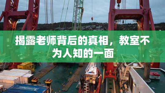 揭露老师背后的真相，教室不为人知的一面