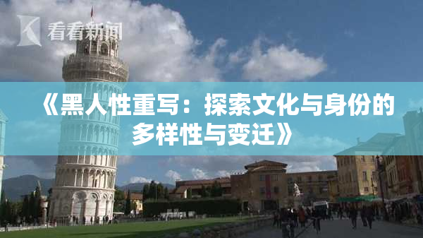 《黑人性重写：探索文化与身份的多样性与变迁》