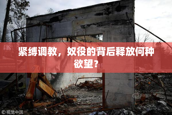 紧缚调教，奴役的背后释放何种欲望？