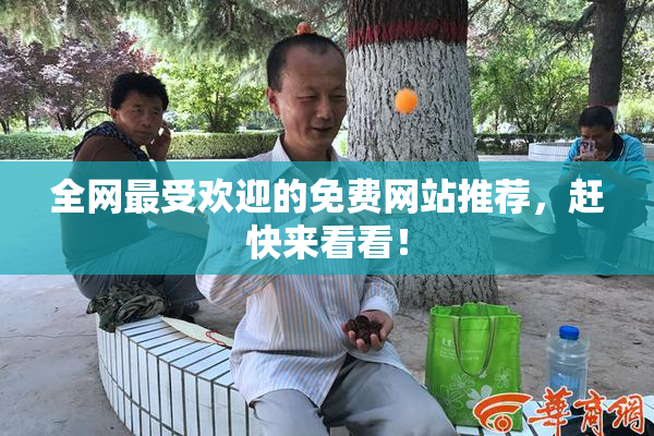 全网最受欢迎的免费网站推荐，赶快来看看！
