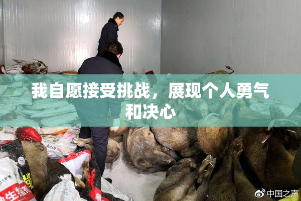 我自愿接受挑战，展现个人勇气和决心