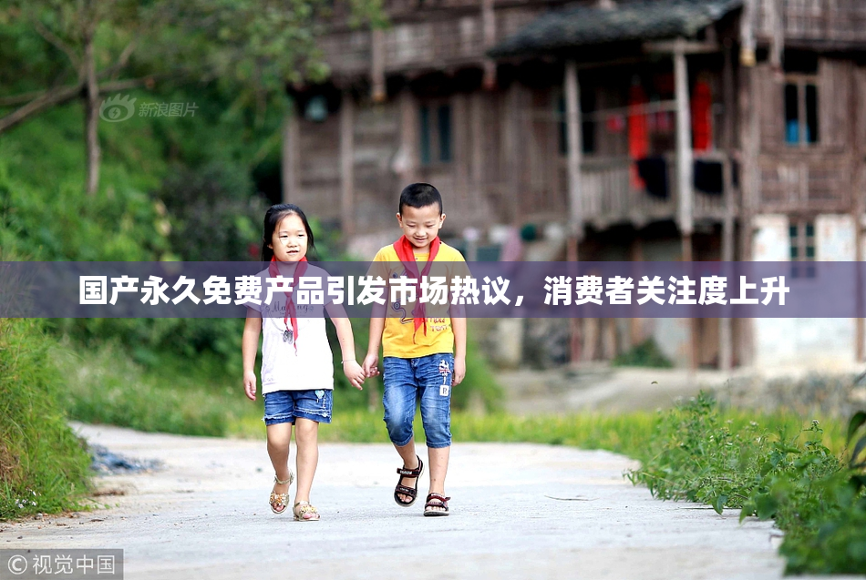 国产永久免费产品引发市场热议，消费者关注度上升