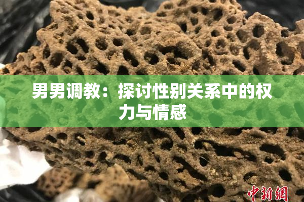 男男调教：探讨性别关系中的权力与情感
