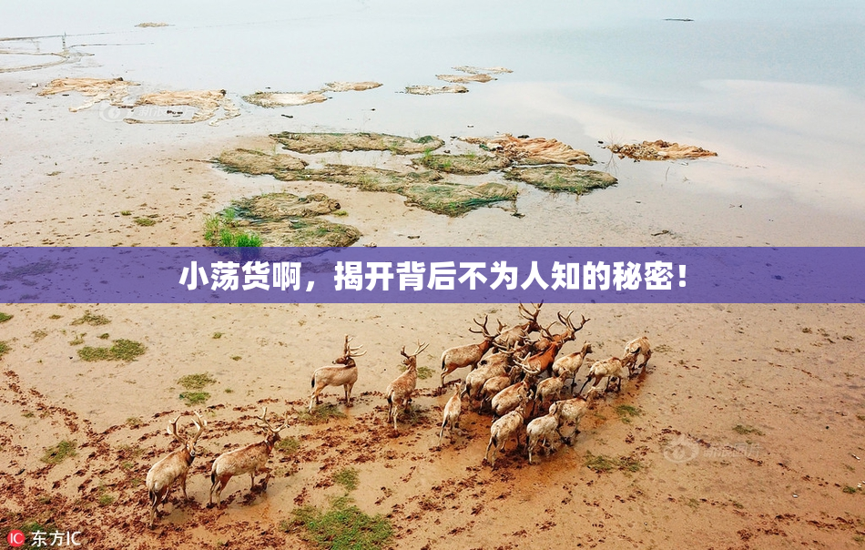 小荡货啊，揭开背后不为人知的秘密！