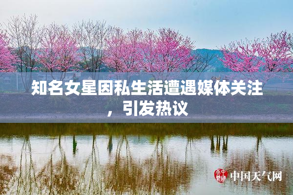 知名女星因私生活遭遇媒体关注，引发热议