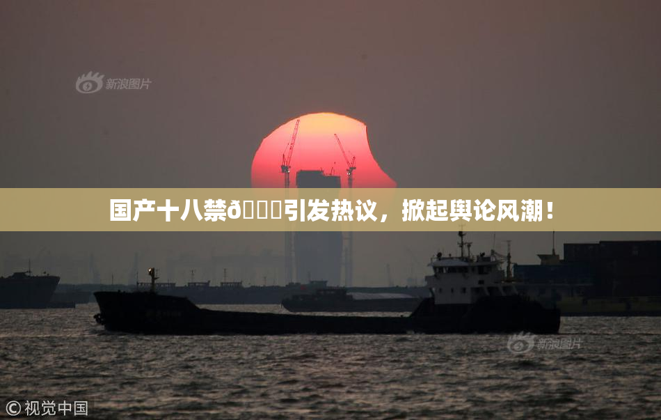 国产十八禁🔞引发热议，掀起舆论风潮！