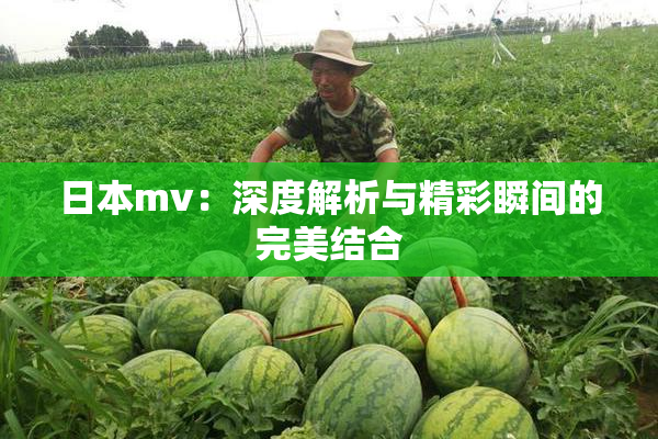 日本mv：深度解析与精彩瞬间的完美结合