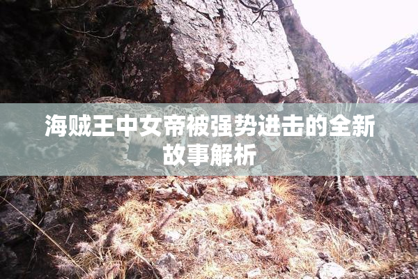 海贼王中女帝被强势进击的全新故事解析