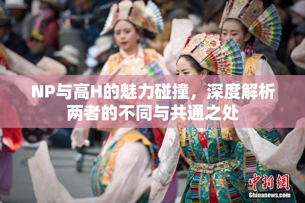 NP与高H的魅力碰撞，深度解析两者的不同与共通之处
