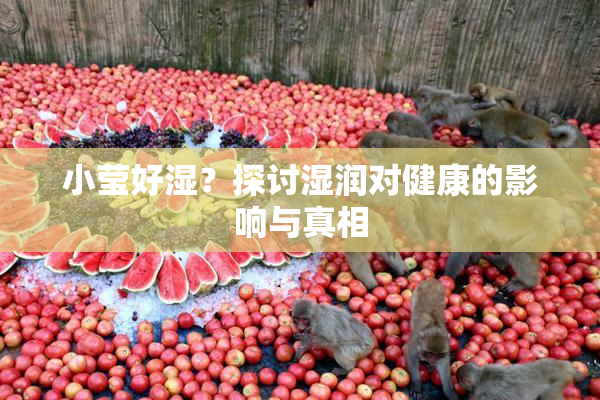 小莹好湿？探讨湿润对健康的影响与真相