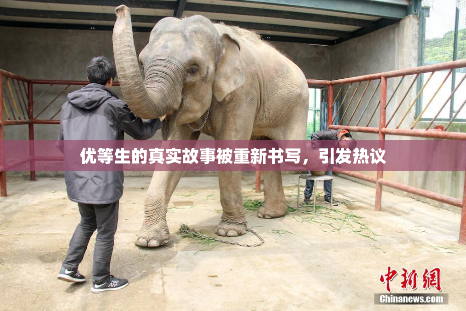 优等生的真实故事被重新书写，引发热议