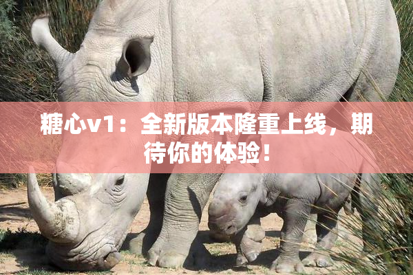 糖心v1：全新版本隆重上线，期待你的体验！