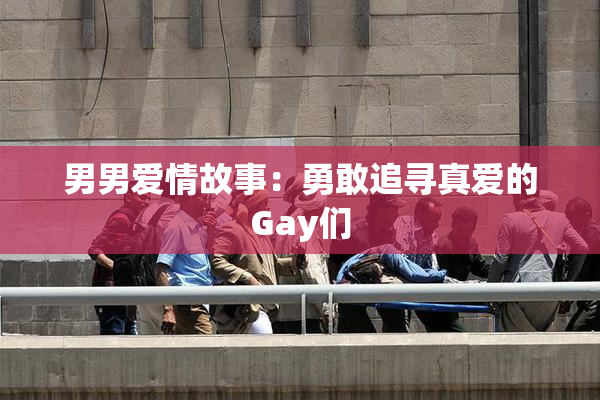 男男爱情故事：勇敢追寻真爱的Gay们