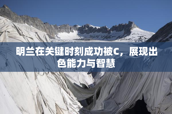 明兰在关键时刻成功被C，展现出色能力与智慧