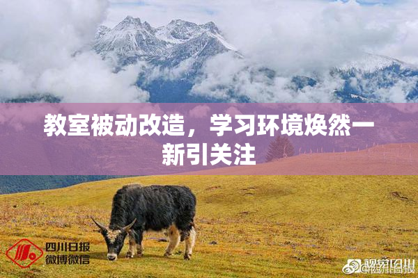 教室被动改造，学习环境焕然一新引关注