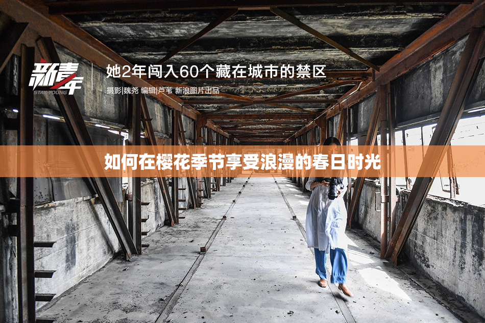 如何在樱花季节享受浪漫的春日时光