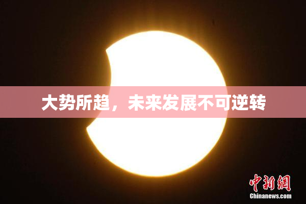 大势所趋，未来发展不可逆转