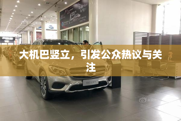 大机巴竖立，引发公众热议与关注