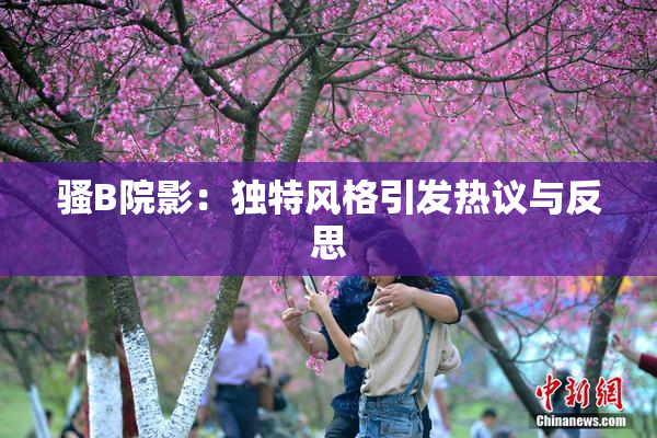 骚B院影：独特风格引发热议与反思
