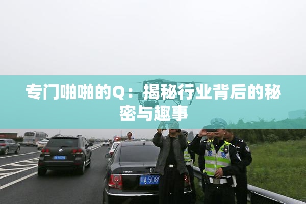 专门啪啪的Q：揭秘行业背后的秘密与趣事