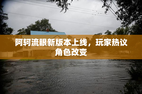 阿轲流眼新版本上线，玩家热议角色改变
