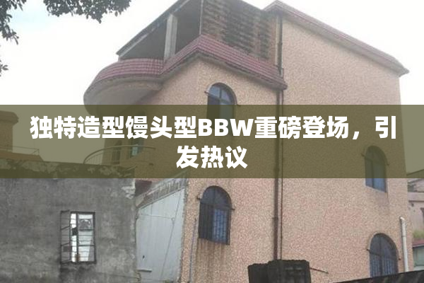 独特造型馒头型BBW重磅登场，引发热议